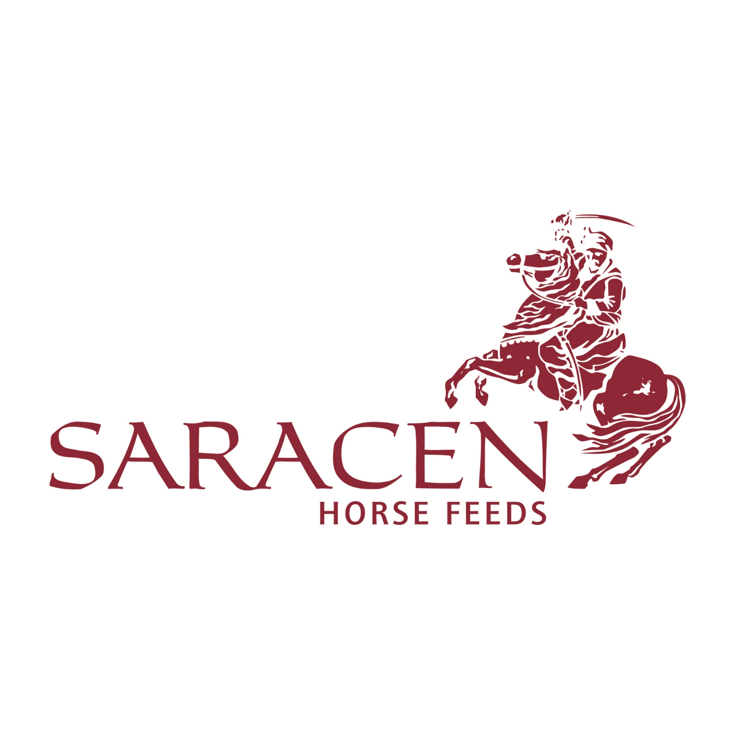 Saracen
