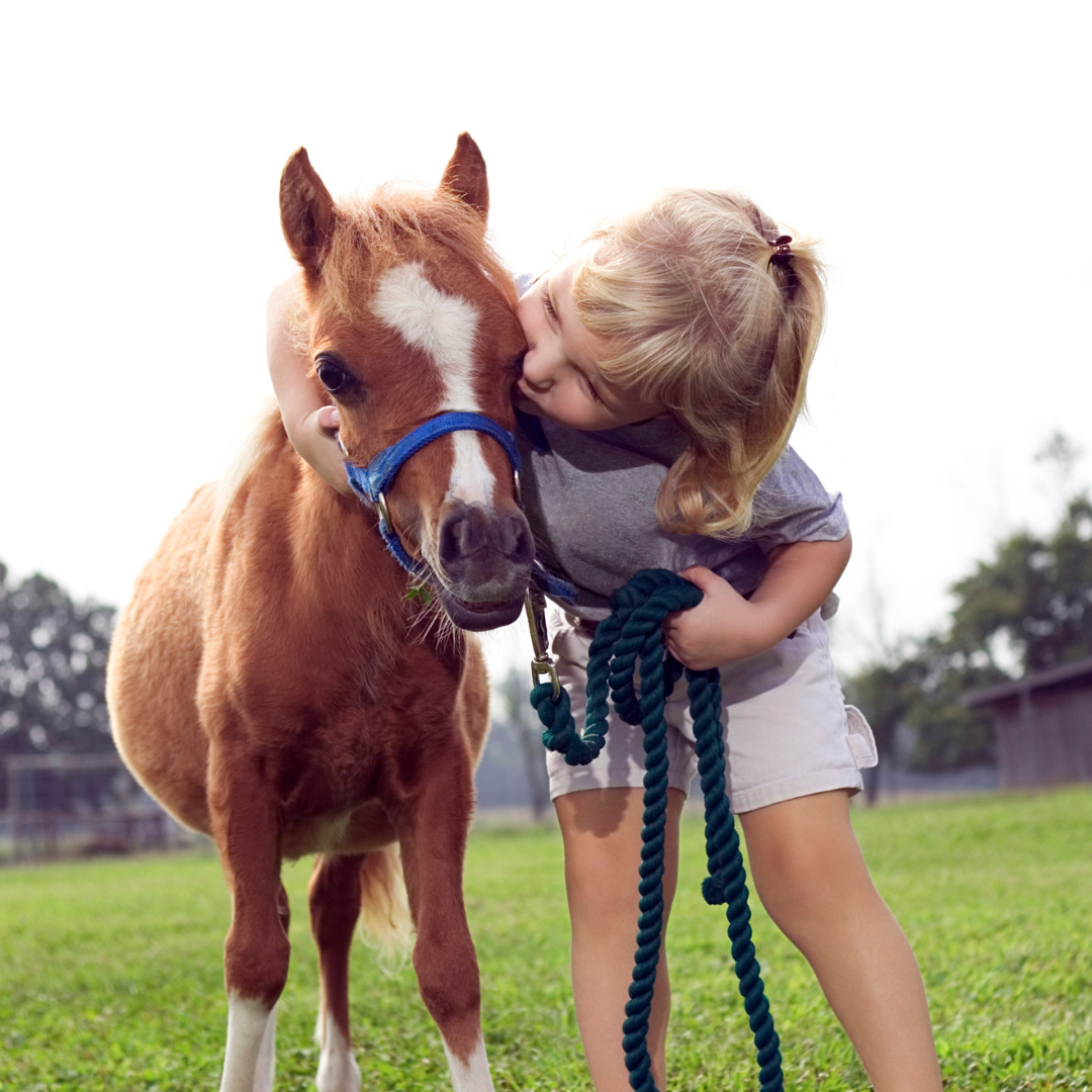 Pony Party - Image 2